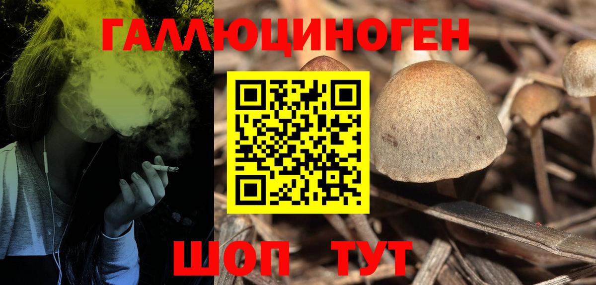 Ртищево  Псилоцибиновые грибы ЛСД  купить  цена  Вход с VPN  Псилоцибиновые грибы Cubensis 